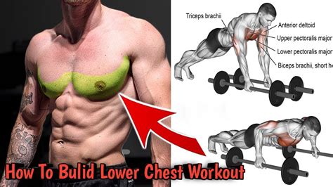 Best Exercise Lower Chest