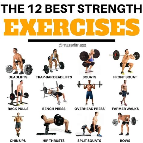 Free Best Exercises For Muscular Strength Gaining Muscle