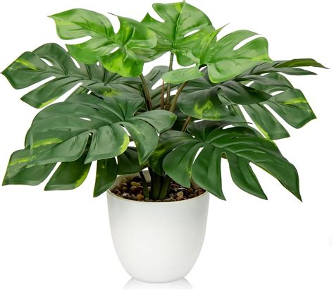 Best Faux Monstera