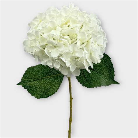 Best Faux White Hydrangea