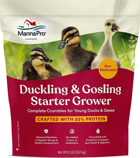 Best Feed For Ducklings