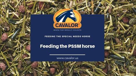 best feed for pssm horses