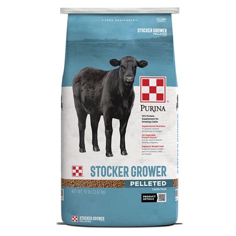 Best Feed For Stocker Cattle