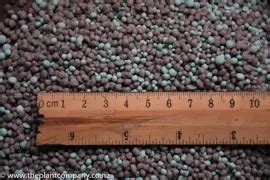Best Fertiliser For Nz Native Trees