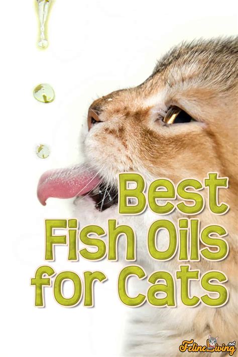 best fish oil for cats