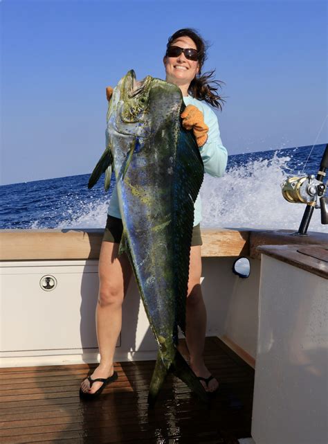 Best Fish Table Jammer