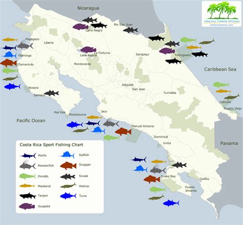 best fishing locations in costa rica