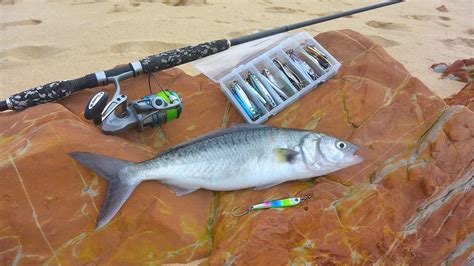 Best Fishing Rods In Australia