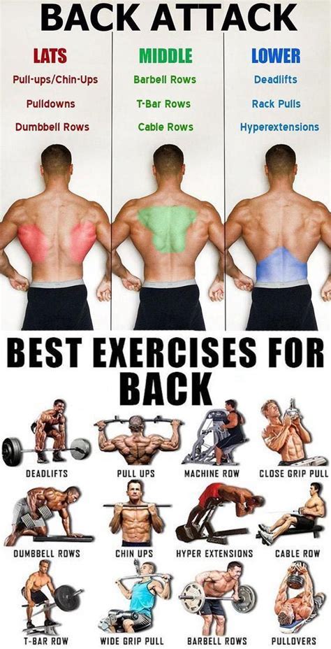best fitness workout guide tutorial tutorial tutorial examples