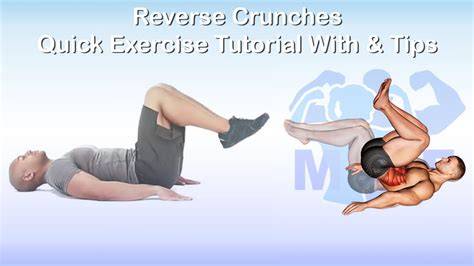 best fitness workout tips tutorial tips tutorial examples tutorial tutorial tutorial guide tutorial