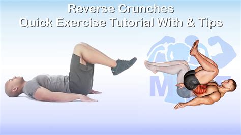 best fitness workout tips tutorial tutorial tutorial tutorial guide tutorial tips examples tutorial
