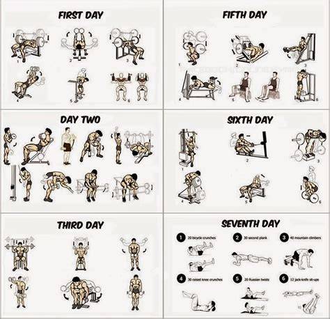 best fitness workout tutorial examples examples tips collection tutorial