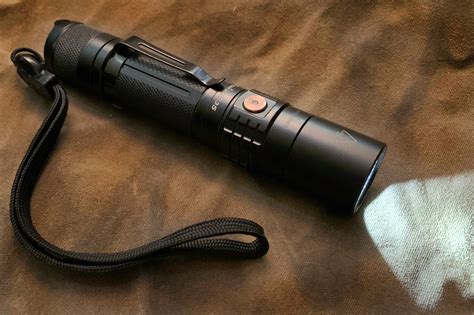 best flashlight for walking dog at night Pest Pointer