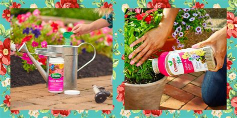 Best Flower Bed Fertilizer