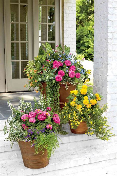 Best Flower Container Combinations