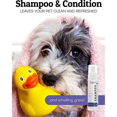 Best Foaming Dog Shampoo