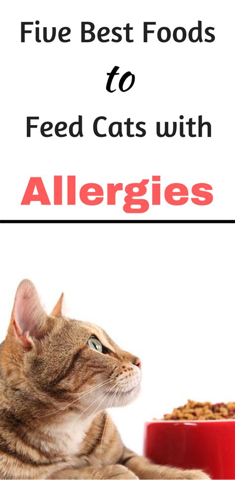 best food for cats with allergies uk