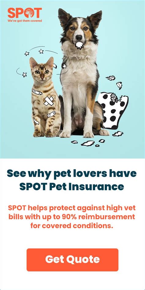 best for pets insurance quotes