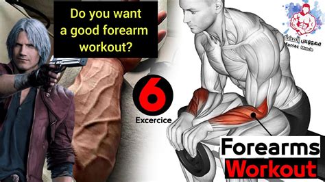 Best Forearm Exercises Reddit