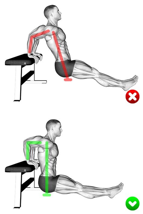 Best Form For Dips