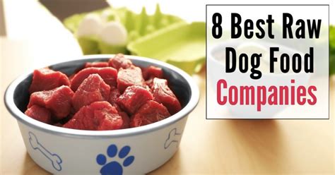 best fresh dog food companies