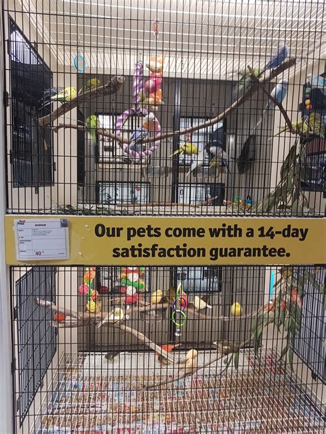 Best Friend Pets Thomastown