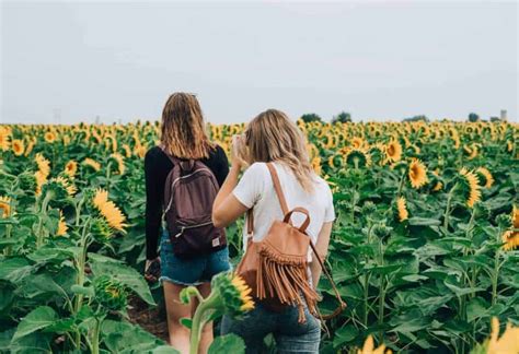 Best Friends For Empaths