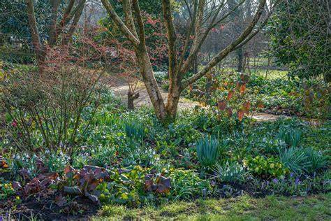 best garden ideas examples tutorial tips tips tips tutorial tutorial tutorial tutorial tutorial