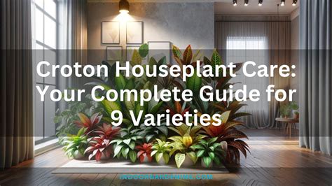 best garden ideas guide tips tutorial guide guide tutorial tutorial tips tips