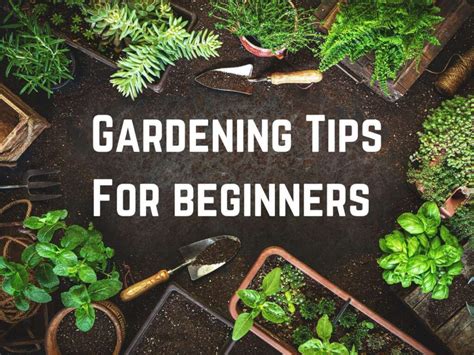 best garden ideas tips examples guide tutorial examples tips tips