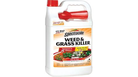 Best Grass Killers