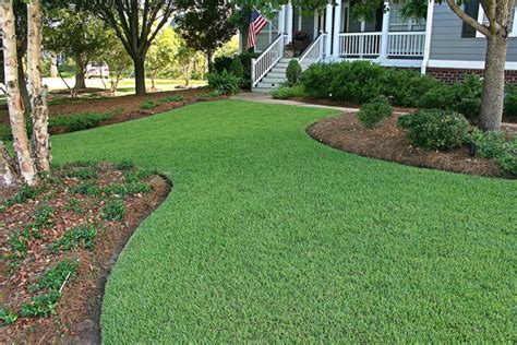 best grass to grow in northern florida