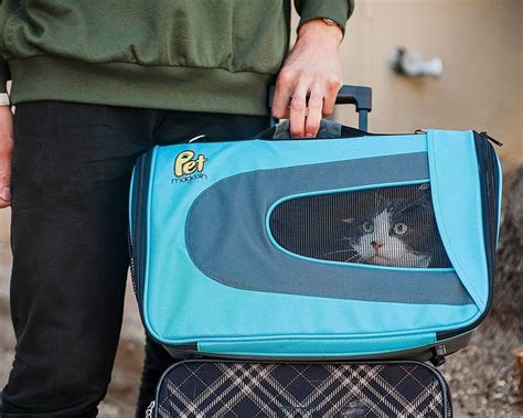 best hard cat carrier