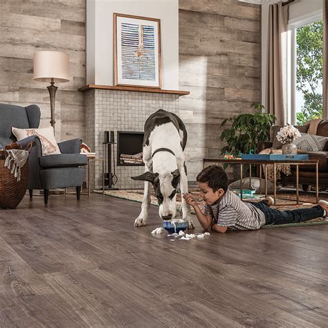 best hardwood floor finishes for large dogs