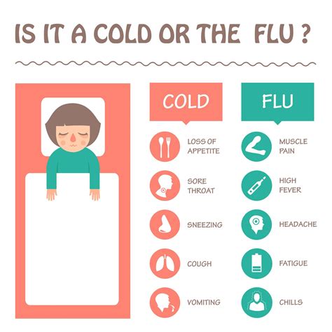 best healthcare for winter colds and flu