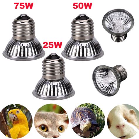 best heat lamp bulbs for chicks