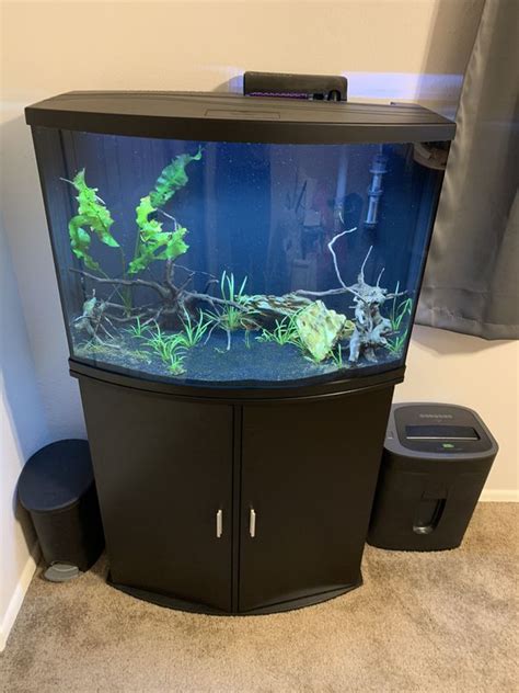 best heater for 36 gallon aquarium