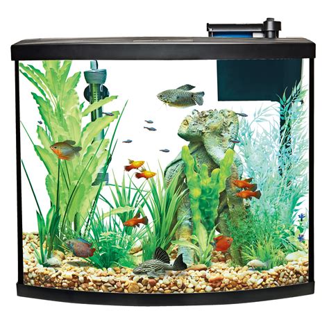 best heater for 36 gallon aquarium