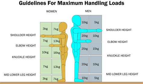 Best Height For Lifting