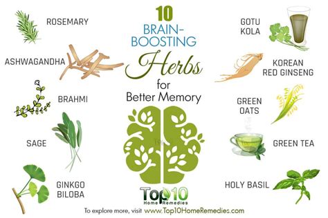 best herbs for brain