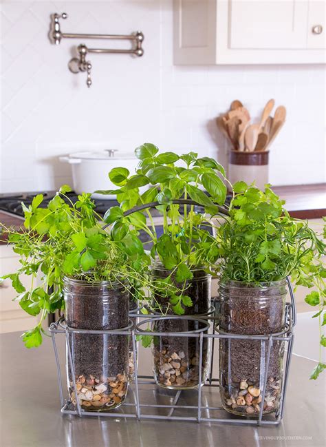 best herbs for indoor kitchen garden