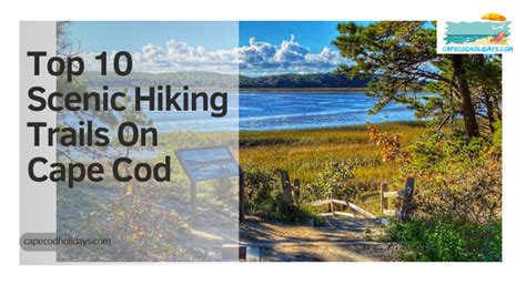 Top 5 Epic Cape Cod Hiking Trails The Platinum Pebble Boutique Inn
