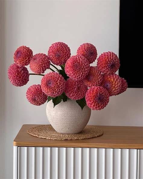 best home decor guide tips tips style tutorial tutorial tutorial tutorial tutorial tutorial