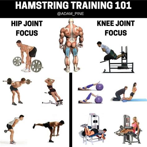 Best Home Gym Hamstring Exercises