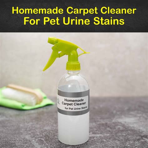 best home remedy to remove old pet urine from rug