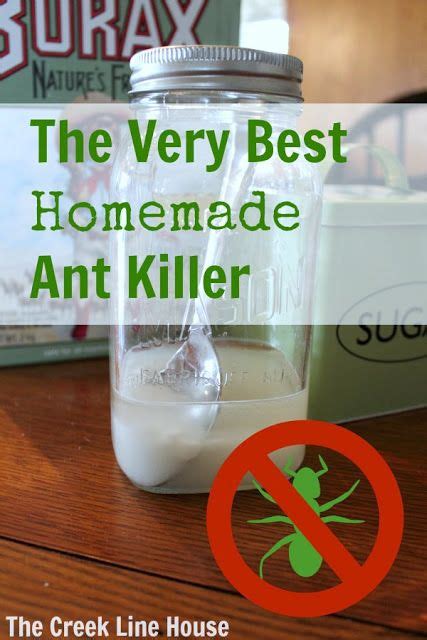 best homemade fire ant killer