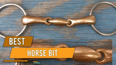 Best Horse Bits