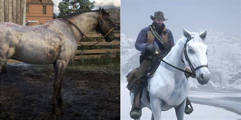 Best Horse Rdr2 Campaign