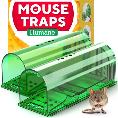 best humane mouse traps 2022