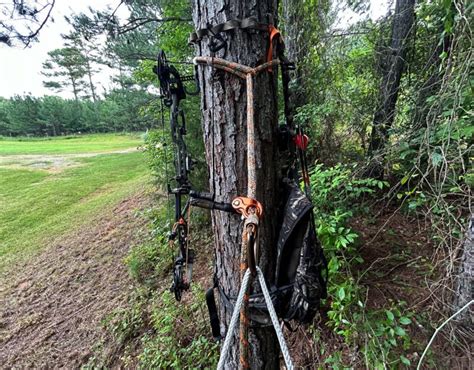 Best Hunting Saddle Setup